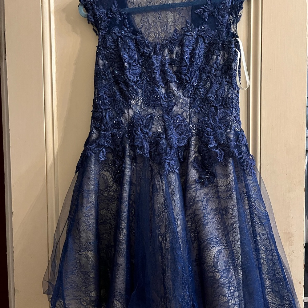 Basix Black Label lace dress
